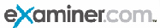 Examiner Examiner