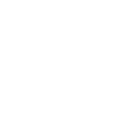 Phoenix 360 Phoenix 360 white logo